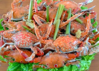 4 cách làm ghẹ hấp thơm lừng, ngọt thịt ăn ngon thích thú