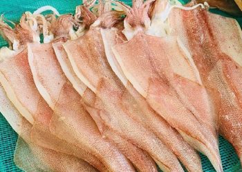 Mực 1 nắng: 5 cách thực hiện món ăn ngon, hấp dẫn, thơm lừng cho tín đồ mê hải sản