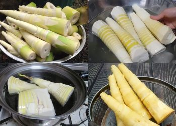 Cách làm măng tươi: 7 công thức chế biến ngon cực đưa cơm và đủ chất
