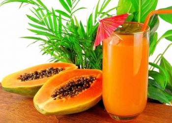 Sinh tố đu đủ: Tổng hợp 10 cách làm ngon, bổ dưỡng mà tiết kiệm