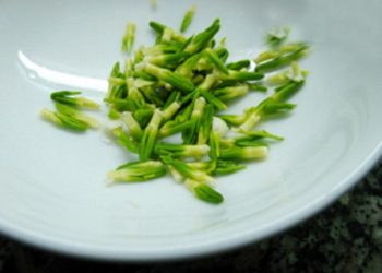 Cách đơn giản trị nhiệt miệng mà bạn nên biết để phòng bệnh
