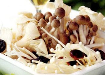 Cách bảo quản nấm tươi lâu mà vẫn đảm bảo dinh dưỡng