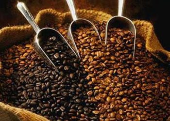 Bí quyết khử mùi cho hộp nhựa đựng thực phẩm đảm bảo vệ sinh, an toàn cho sức khỏe