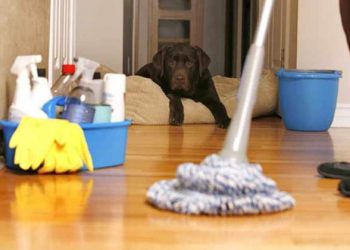 Hướng dẫn cách tẩy vết bẩn trên sàn nhà nhanh chóng và gọn nhẹ