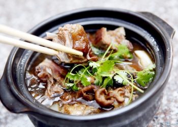 Cách nấu thịt chó hầm thuốc Bắc lợi sữa cho người mới sinh