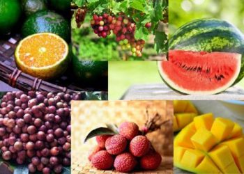 Mách bạn cách ăn hoa quả như thế nào để tốt cho cơ thể?