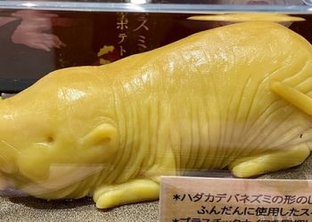 Khoai lang hình chuột dũi trụi lông ở Nhật gây tò mò