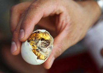 Bà bầu ăn trứng vịt lộn và những lợi ích bất ngờ khác