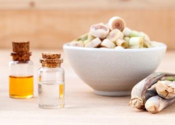 Cách dùng sả kiểm soát cholesterol mà ai cũng nên biết để sử dụng