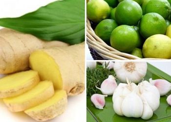 Cách chữa rụng tóc hói đầu sao cho hiệu nghiệm nhất