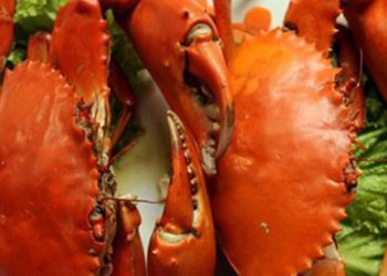 Cua ghẹ rất không nên ăn khi trăng tròn nhưng 99% không biết và những người tuyệt đối không nên ăn cua ghẹ dù thèm đến mấy