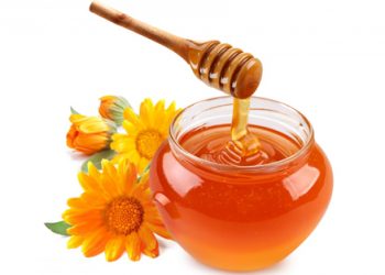Mật ong, sản phẩm sĩ tử nên dùng khi ôn luyện căng thẳng