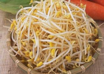 Giá đỗ – Món rau lý tưởng làm đẹp dáng mà chị em nên sử dụng hợp lý