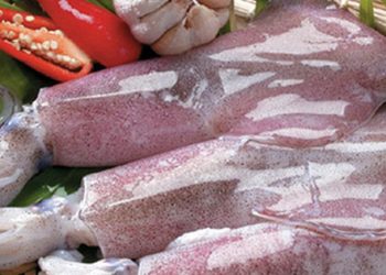 Thêm vài giọt này vào thì mực xào đảm bảo giòn ngọt, ngon như ăn ngay khi vừa đánh bắt, không tanh, thơm phức