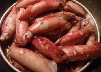Cách bảo quản mực trứng lâu ngày mà vẫn có thể tươi ngon