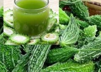 Mướp đắng – thần dược chữa ung thư, tiểu đường, lợi đủ đường