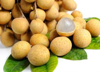 Ăn nhãn giúp tăng cường trí nhớ, chống suy nhược và mất ngủ