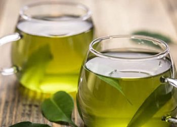 Nhiều người pha nước vối tươi mất xanh, mất ngon vì bỏ qua 3 bước này