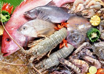 Phương pháp đối phó với viêm da cơ địa một cách hiệu quả nhất
