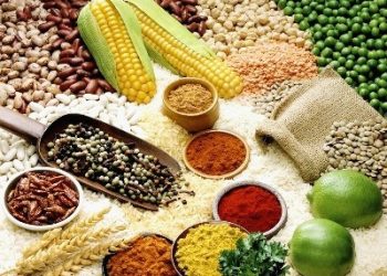 Hướng dẫn chị em cách chọn thực phẩm giúp ngăn ngừa bệnh phụ khoa