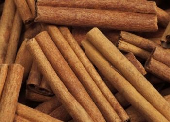 Quế giúp tăng cường trí nhớ và tốt cho thể trạng tinh thần