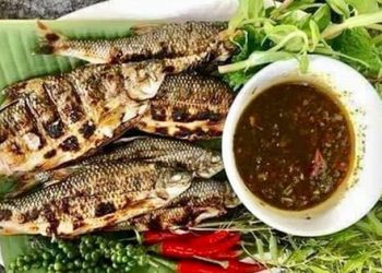 Người phụ nữ rơi xuống vực sâu ở Yên Tử ăn cây rau này rất ngon mà không sợ có độc