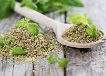 Tác dụng bất ngờ của rau mùi với sức khỏe lợi đủ đường