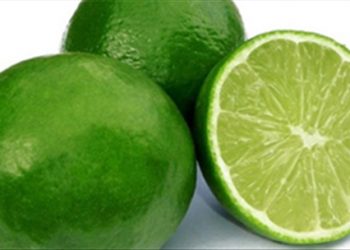 Phòng chống ung thư bằng lát chanh đông lạnh mỗi ngày