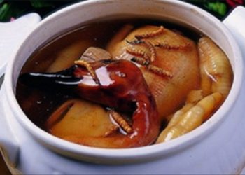 Một số món ăn bổ dưỡng hỗ trợ điều trị bệnh lao phổi