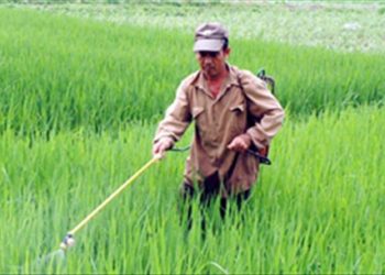 Hướng dẫn bạn cách sơ cứu, đề phòng ngộ độc hóa chất diệt côn trùng