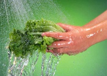 Bật mí cách rửa rau giúp giảm một nửa chất gây ung thư