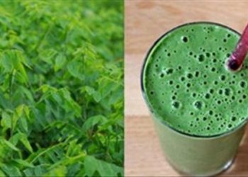 Cách đơn giản đánh bay nhiệt miệng nhanh chóng nhất