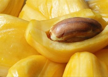 Mít chống ung thư và viêm loét dạ dày