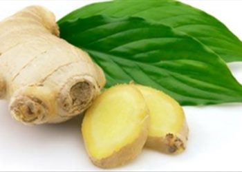 Cẩm nang giúp bạn phải làm gì khi người nhà bị ngộ độc rượu?