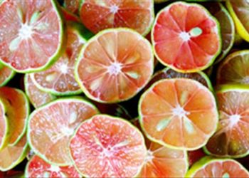Phương thuốc chữa ho giảm cân hiệu nghiệm vô cùng