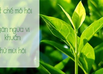 Bạn có thể loại bỏ nỗi lo mùi cơ thể với 4 nguyên liệu dễ tìm này