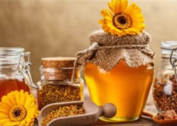 Thực hư chuyện mật ong không tốt cho người loãng xương