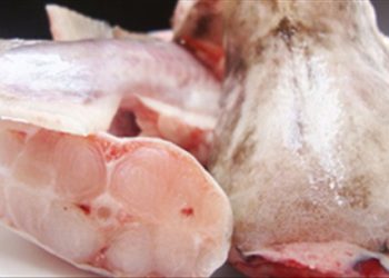 Mẹo làm sạch nhớt cá dễ dàng và khử hết mùi tanh