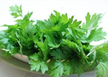 Mách nhỏ bí quyết điều trị bệnh mùa mưa bằng cây cỏ dễ kiếm