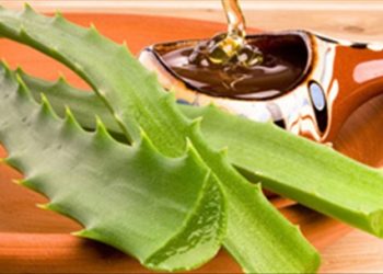 Khỏi ung thư phổi nhờ hỗn hợp lô hội, mật ong hay không?