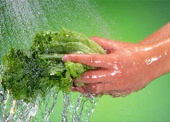 Bí quyết “tẩy sạch” giun sán ở rau để tránh tác hại khôn lường