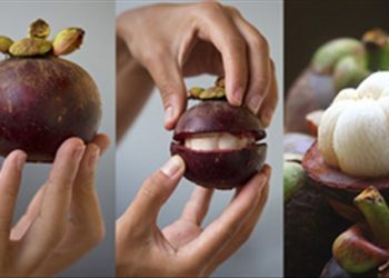Mách nhỏ mẹo chọn măng cụt thơm ngon mà ít ai biết đến