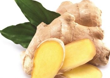 Công dụng hữu hiệu từ gừng dùng trong nhiều trường hợp bạn nên biết