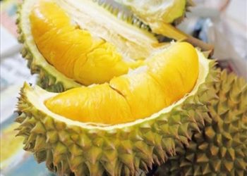 Mẹo chọn sầu riêng ngon, không tẩm hóa chất nhất định phải biết
