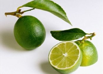 Thuốc hay từ cây chanh mà người người đều cần phải biết