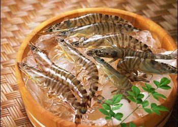 Hướng dẫn một số cách xử lý thực phẩm và thức uống