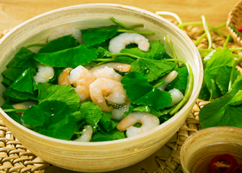 Trị chảy máu mũi bằng cây lá vườn nhà cực hiệu quả mà lại đơn giản
