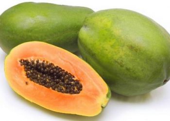 Trị gai cột sống bằng hạt đu đủ từ những bài thuốc nào?