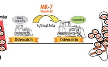 Vai trò của MK7 đối với sự phát triển chiều cao của trẻ