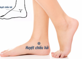 Bỏ túi cẩm nang cần thiết